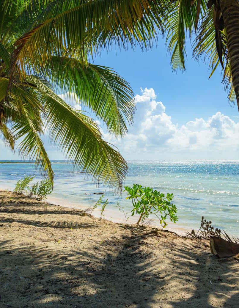 Escasez, Plusvalía y Bienestar: La Nueva Realidad Inmobiliaria en Riviera Maya