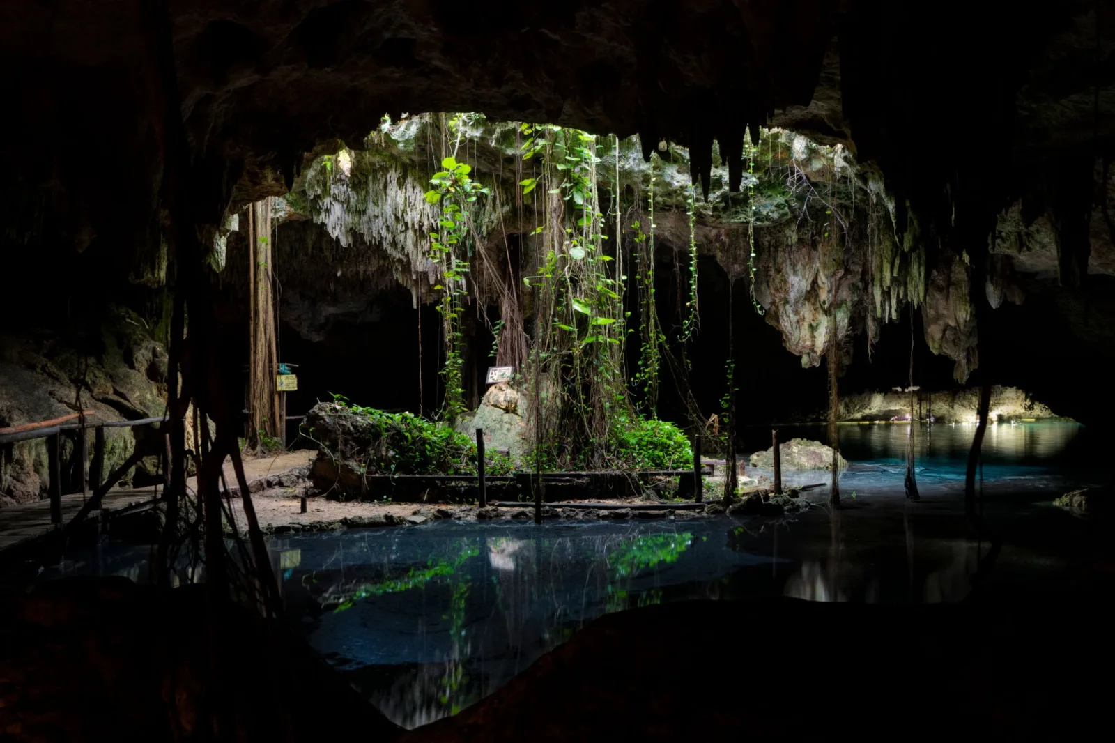 Vivir en sintonía con el flujo: cómo la arquitectura biofílica dialoga con los ríos subterráneos de Playa del Carmen